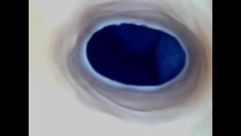 Paula 18 Aninhos online show from 12/23/25, 01:03