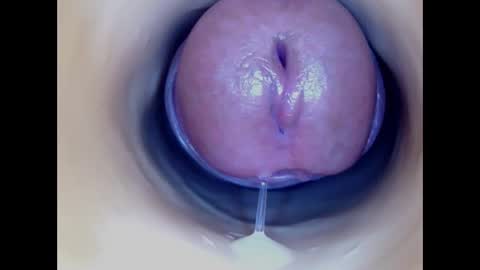 Paula 18 Aninhos online show from 01/07/26, 12:02