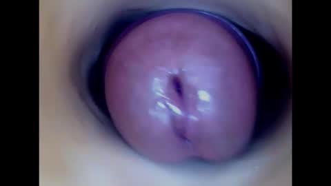 Paula 18 Aninhos online show from 02/05/26, 10:47