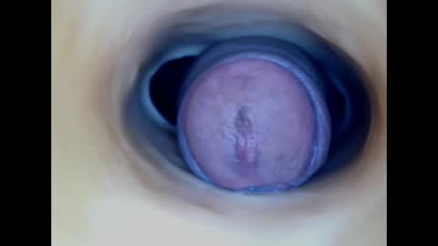 Paula 18 Aninhos online show from 03/29/26, 03:17