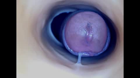 Paula 18 Aninhos online show from 04/02/26, 04:32