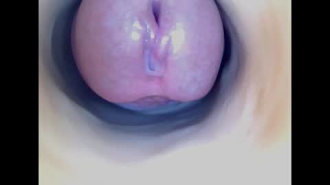 Paula 18 Aninhos online show from 04/07/26, 12:11