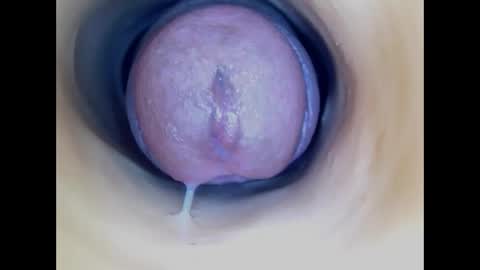 Paula 18 Aninhos online show from 04/26/26, 04:04