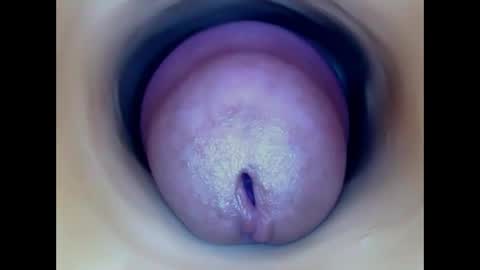 Paula 18 Aninhos online show from 05/20/26, 03:13