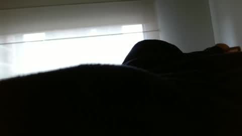 Snapshot of pauliinawithyou chatting on 02/10/25, 03:42 paulina online show from 02/10/25, 03:42