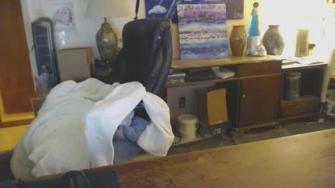 Snapshot of paulleroy chatting on 01/25/25, 01:43 paulleroy online show from 01/25/25, 01:43