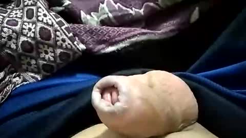 Snapshot of paulojdo chatting on 10/29/25, 03:09 carlosjdo online show from 10/29/25, 03:09