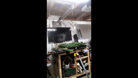 pawelniceguy online show from 01/19/26, 02:26