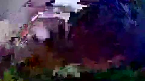 Coco channel  online show from 12/21/24, 10:06