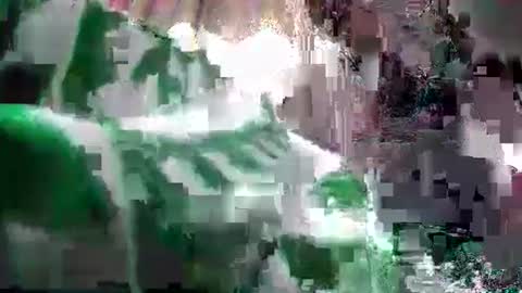 Coco channel  online show from 12/24/24, 06:22