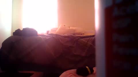 Snapshot of pebblessmith453 chatting on 11/10/25, 02:49 pebblessmith453 online show from 11/10/25, 02:49