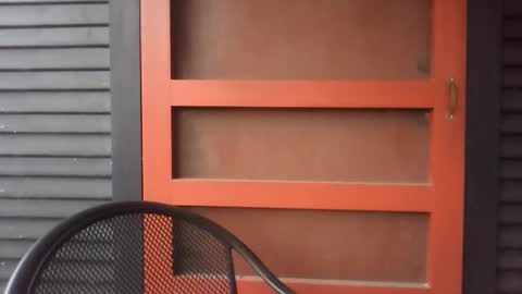 pecos8686 online show from 11/29/25, 02:42