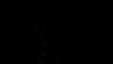 Snapshot of pedritu7 chatting on 02/18/25, 01:00 Alex online show from 02/18/25, 01:00