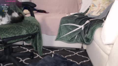 NEXT CHILL SESH  1130 930pm -ish PEEK online show from 03/06/25, 02:19