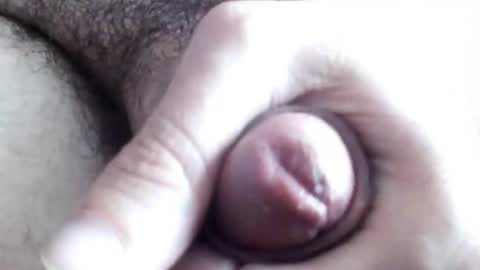 peiboluna online show from 02/23/25, 06:28