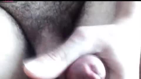 peiboluna online show from 12/16/25, 02:55