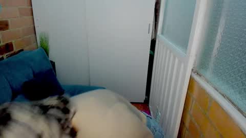 Penelope online show from 03/11/26, 10:38