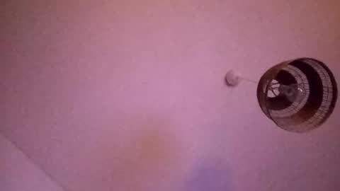 penesvoladores92 online show from 02/28/26, 01:39