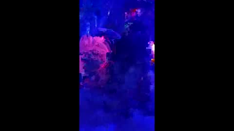 penrodscott7 online show from 03/18/26, 11:24