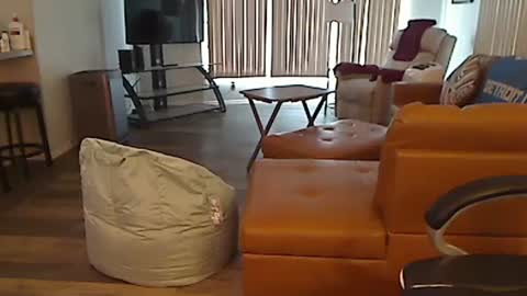 Snapshot of perfecto1957 chatting on 02/13/25, 04:39 perfecto1957 online show from 02/13/25, 04:39