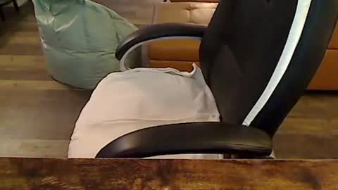 Snapshot of perfecto1957 chatting on 11/06/25, 03:46 perfecto1957 online show from 11/06/25, 03:46