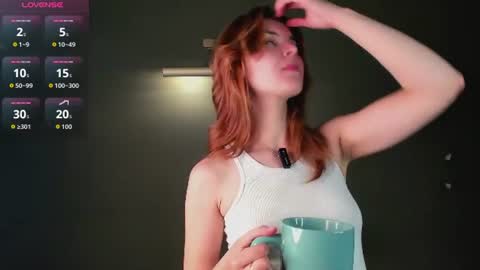 Snapshot of perfectvisitor chatting on 06/29/26, 11:27 Sophia online show from 06/29/26, 11:27