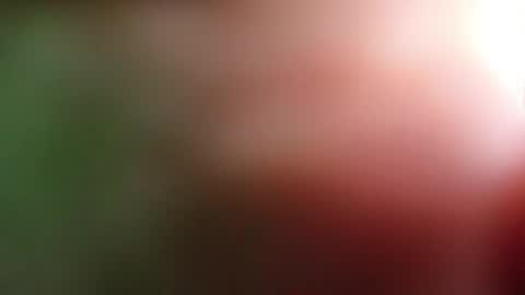 perla_lovely online show from 05/01/26, 12:54
