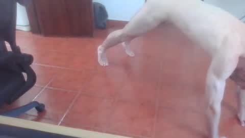 Snapshot of peter_coat chatting on 07/01/26, 12:40 peter_coat online show from 07/01/26, 12:40