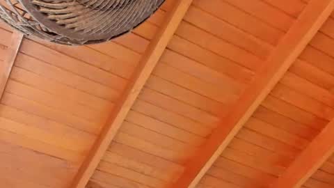 Snapshot of peter_jackson1 chatting on 12/04/24, 11:57 peter jackson1 online show from 12/04/24, 11:57