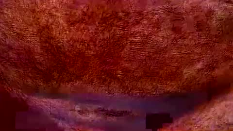 Snapshot of peterpeteropoulos chatting on 07/20/26, 07:05 peterpeteropoulos online show from 07/20/26, 07:05