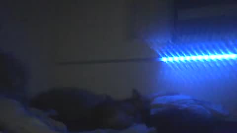 Snapshot of peterscherer620 chatting on 02/10/26, 03:10 Pitsches online show from 02/10/26, 03:10