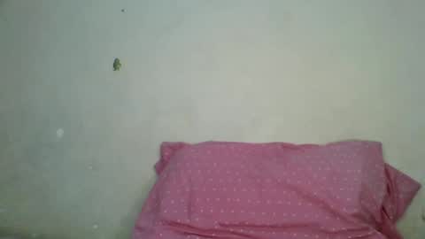 petite_shan online show from 06/21/26, 05:32