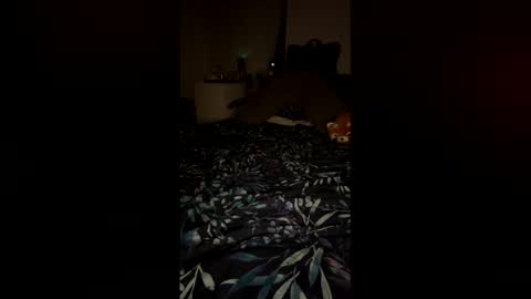 Snapshot of petitecurves279659 chatting on 02/12/26, 11:33 PetiteCurves online show from 02/12/26, 11:33