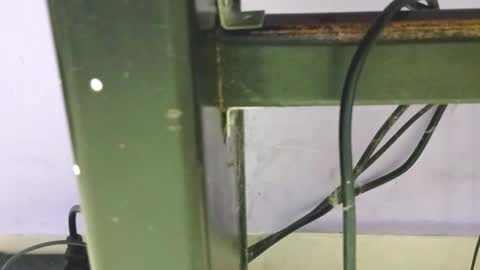 danna online show from 12/23/24, 01:40