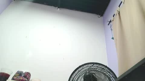 danna online show from 01/13/25, 04:28