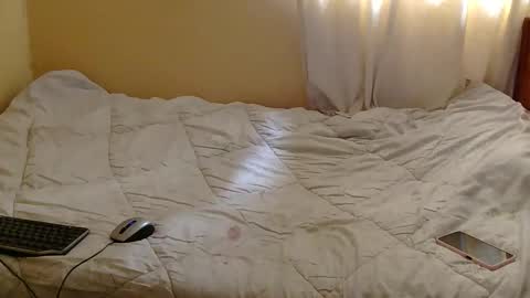 Kitty online show from 04/19/26, 08:24