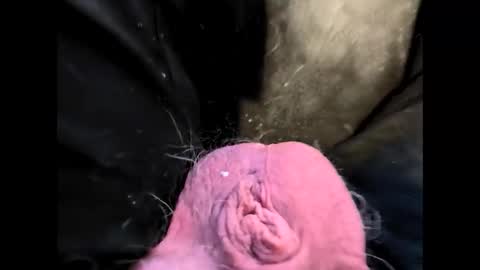 Snapshot of petrol63102 chatting on 02/20/26, 01:22 petrol63102 online show from 02/20/26, 01:22