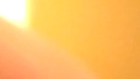 Snapshot of petw45 chatting on 02/25/26, 02:21 petw45 online show from 02/25/26, 02:21