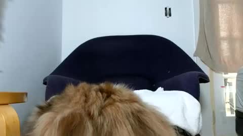 TheSkyeWoods online show from 12/09/24, 05:52