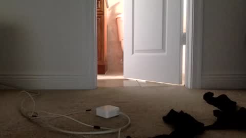 Its always better when its forbidden online show from 04/01/26, 04:48