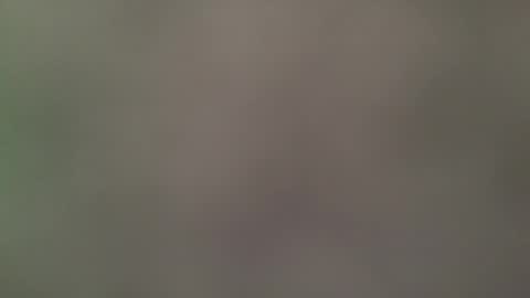 Its always better when its forbidden online show from 04/27/26, 08:07