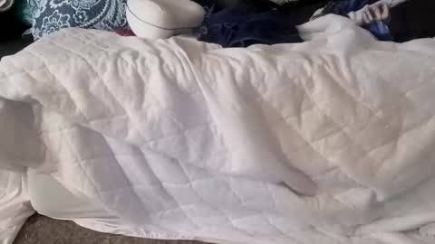 phillipdee online show from 01/07/26, 05:04