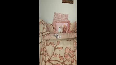 philos1979 online show from 01/19/26, 01:31