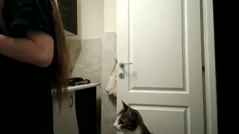 Moonie online show from 12/15/25, 08:35