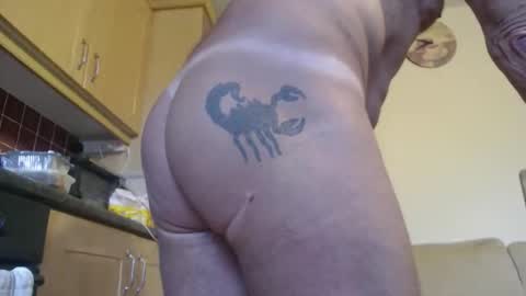 Snapshot of piercedcock069 chatting on 01/11/26, 01:16 piercedcock069 online show from 01/11/26, 01:16