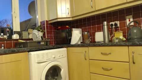 Snapshot of piercedcock069 chatting on 01/13/26, 05:29 piercedcock069 online show from 01/13/26, 05:29