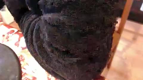 Snapshot of piercedcock069 chatting on 01/17/26, 10:09 piercedcock069 online show from 01/17/26, 10:09