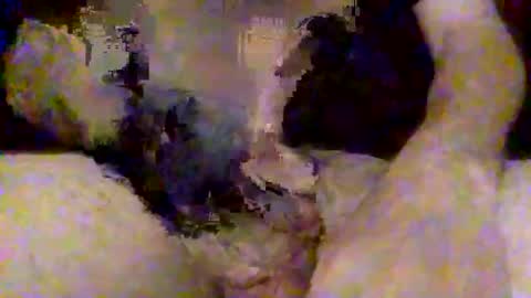 pinaykittylover online show from 04/19/26, 12:37