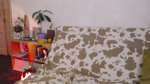 Sony online show from 11/01/25, 05:04