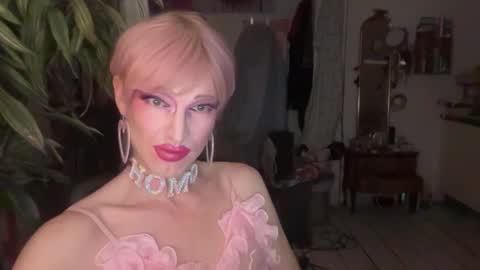 pinkfag online show from 02/19/26, 03:08